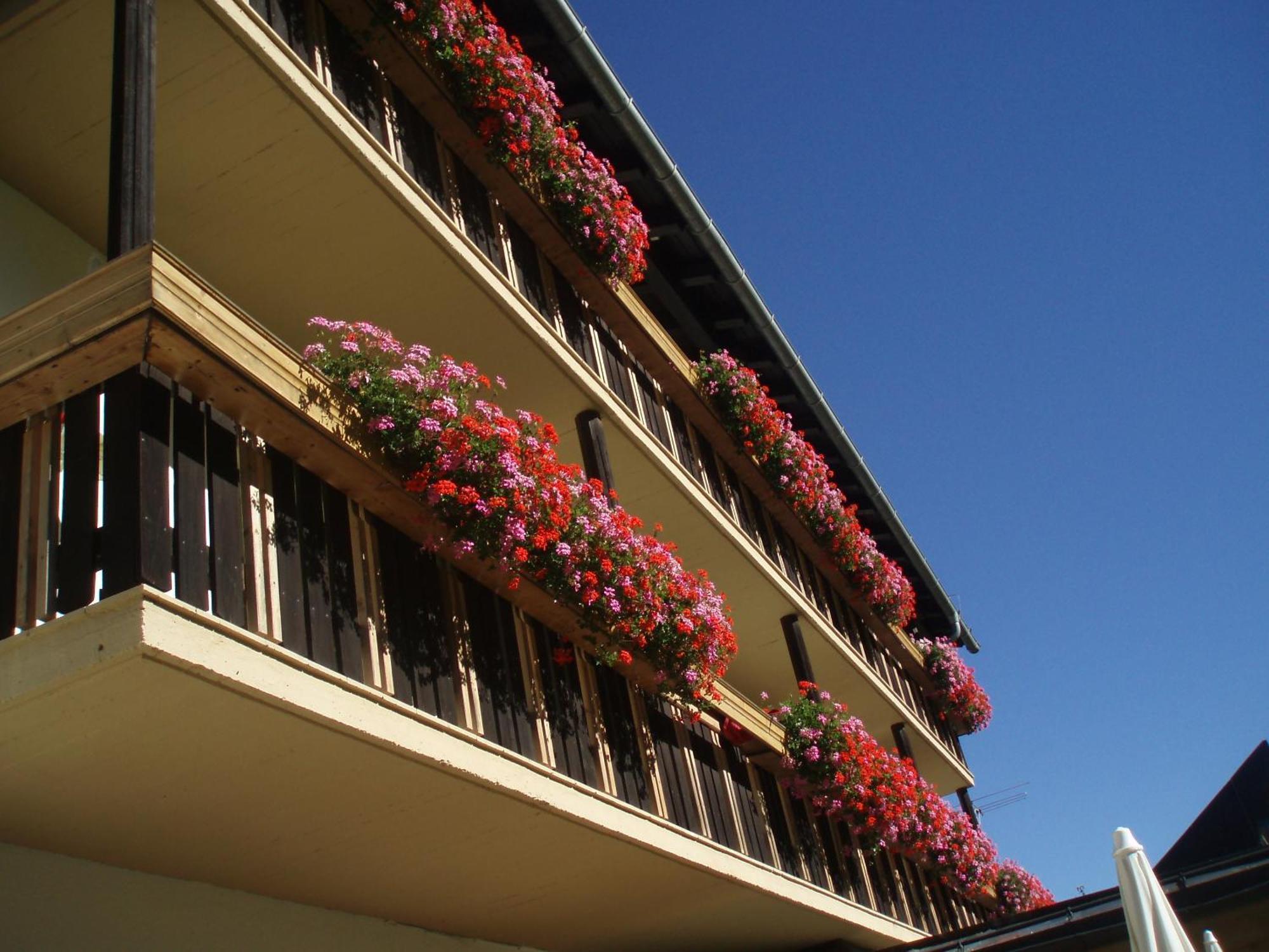 Laerchenhof Hotel Sankt Jakob in Defereggen Exterior photo